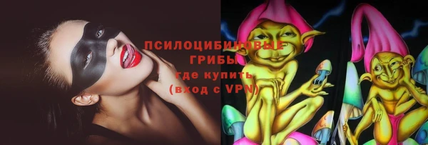 ПСИЛОЦИБИНОВЫЕ ГРИБЫ Козельск