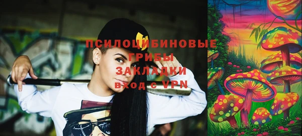 прущий лед Козловка