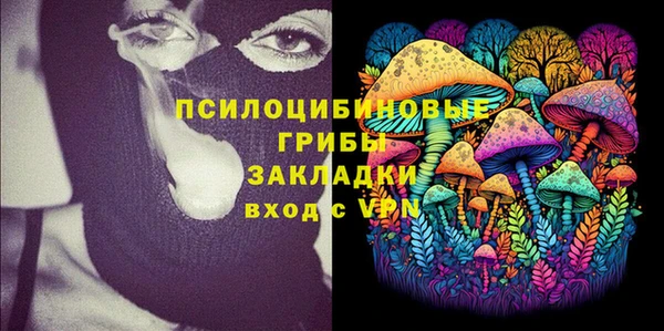 ПСИЛОЦИБИНОВЫЕ ГРИБЫ Козельск
